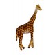 Cache-Clou - Girafe